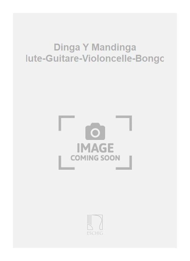 Dinga Y Mandinga Flute-Guitare-Violoncelle-Bongos